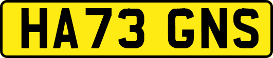HA73GNS