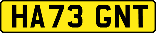 HA73GNT