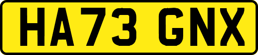 HA73GNX