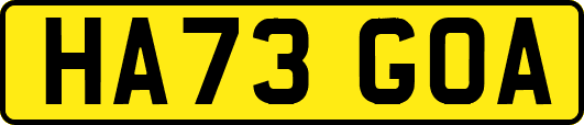 HA73GOA