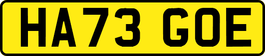 HA73GOE
