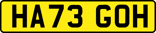 HA73GOH
