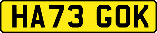 HA73GOK