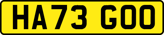HA73GOO