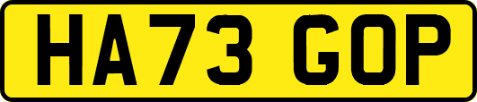 HA73GOP