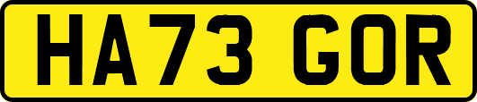 HA73GOR