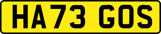 HA73GOS