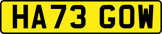 HA73GOW