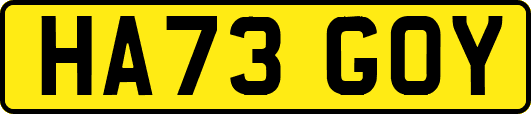 HA73GOY
