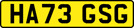 HA73GSG
