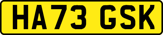 HA73GSK