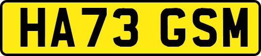 HA73GSM