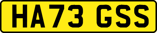 HA73GSS