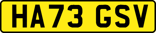 HA73GSV