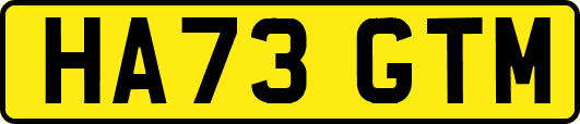 HA73GTM