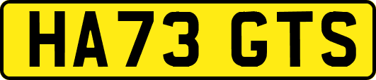 HA73GTS