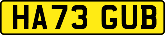 HA73GUB