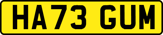 HA73GUM
