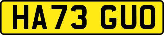 HA73GUO