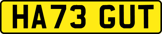 HA73GUT