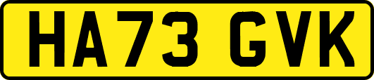 HA73GVK
