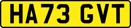 HA73GVT