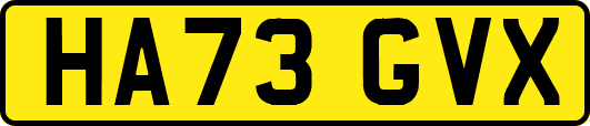 HA73GVX