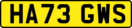 HA73GWS