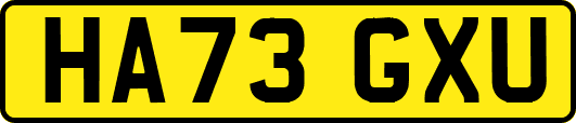 HA73GXU