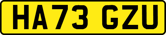HA73GZU