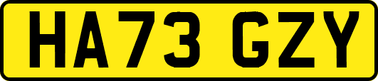 HA73GZY