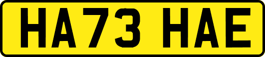 HA73HAE