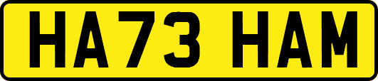 HA73HAM