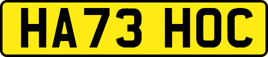 HA73HOC