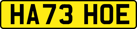 HA73HOE