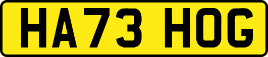 HA73HOG