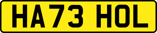 HA73HOL