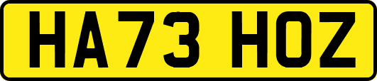 HA73HOZ