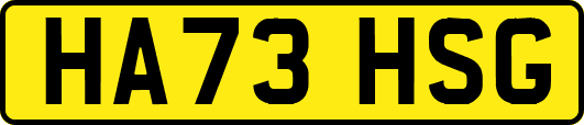 HA73HSG