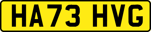 HA73HVG