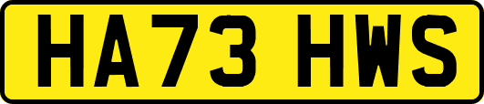 HA73HWS