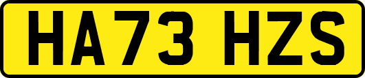 HA73HZS