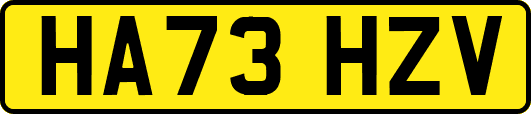 HA73HZV
