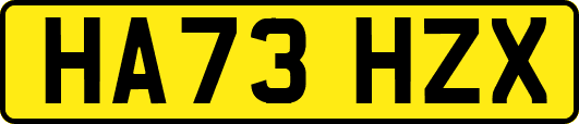 HA73HZX