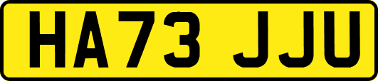 HA73JJU
