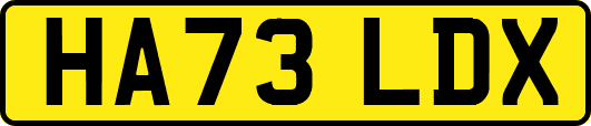 HA73LDX