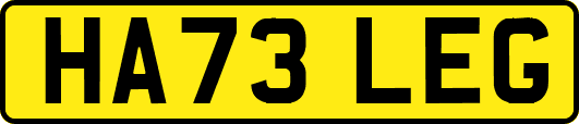HA73LEG