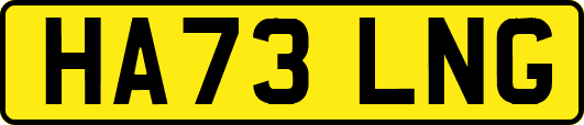HA73LNG