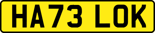 HA73LOK
