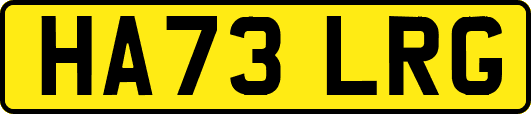 HA73LRG